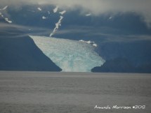 Glacier retreating into the Pacific Ocean near Seward, AK.
