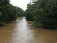 Sarapiqui River - high water