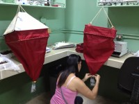 Flor sets up the Berlese Funnels for arthropod extraction.