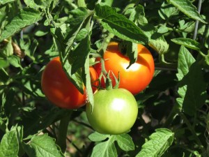 04206BCF-88F7-4879-896F-7925B99C1BA5